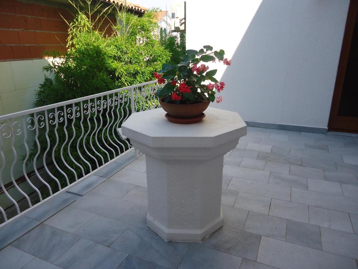 White & In * Malinska